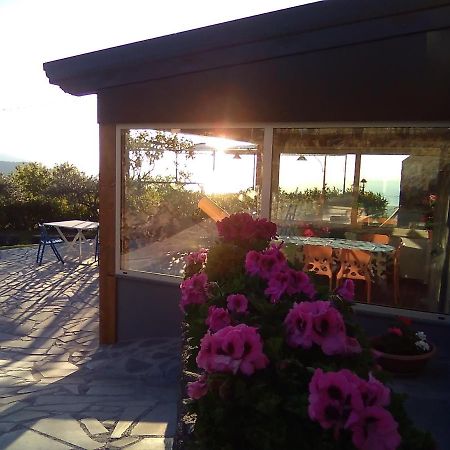 Seacily Etna House Villa Piedimonte Etneo Eksteriør billede