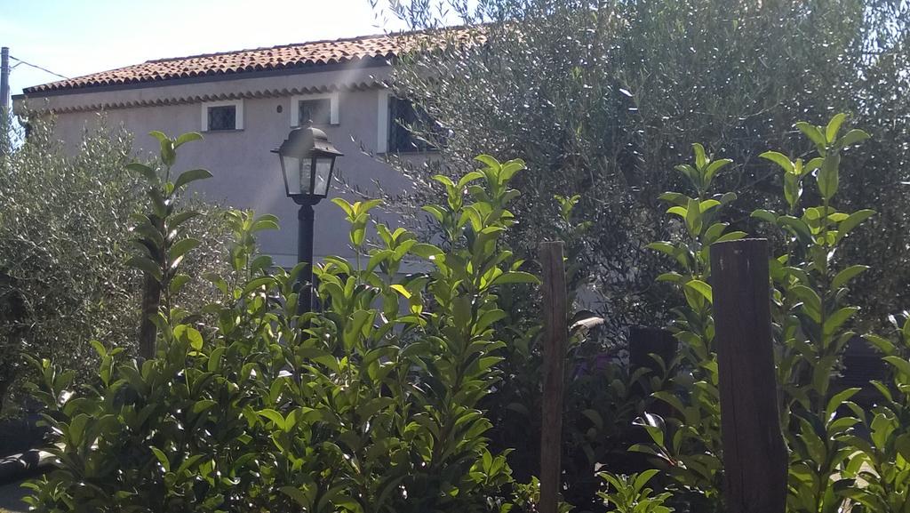 Seacily Etna House Villa Piedimonte Etneo Eksteriør billede