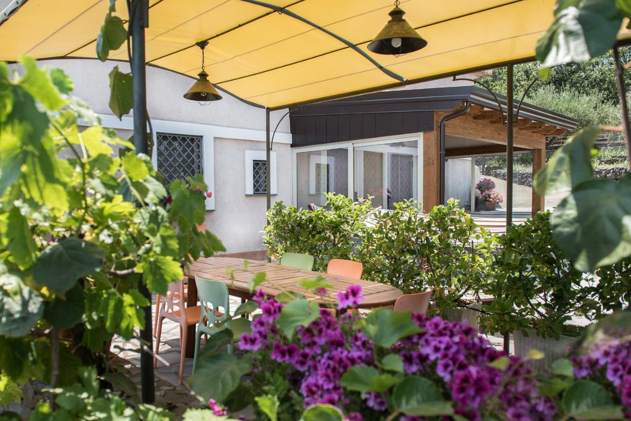 Seacily Etna House Villa Piedimonte Etneo Eksteriør billede